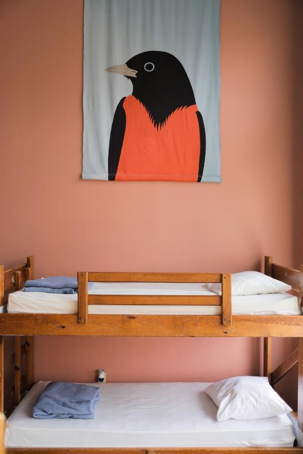 Hostel Buffalo-Niagara Eksteriør bilde